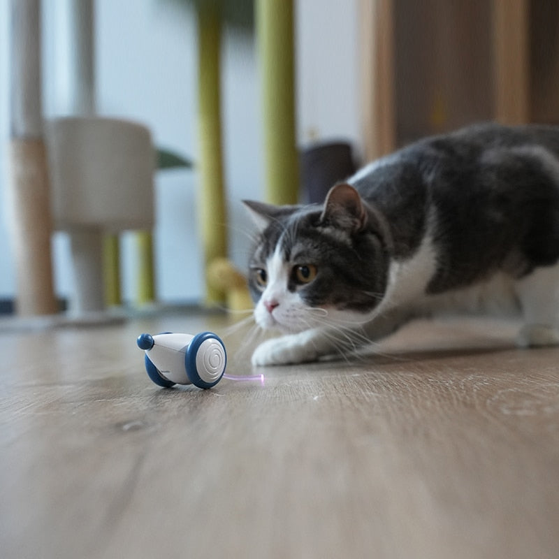  Wicked Running Mouse™ | Het LEUKSTE interactieve katten speeltje! 😼 Zolaa.nl Zolaa.nl